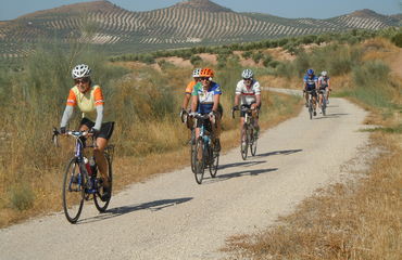 Cyclists riding along dusty track