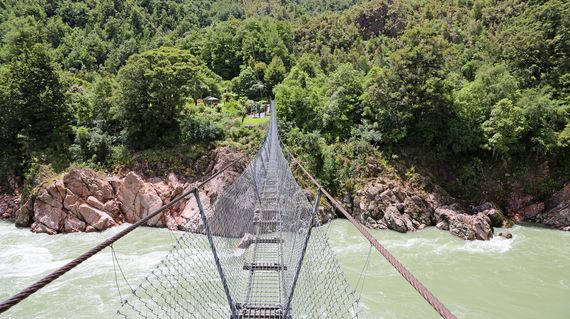 Discover the beautiful Buller Gorge during the tour