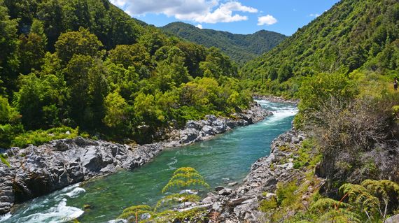 Discover the beautiful views of New Zealand