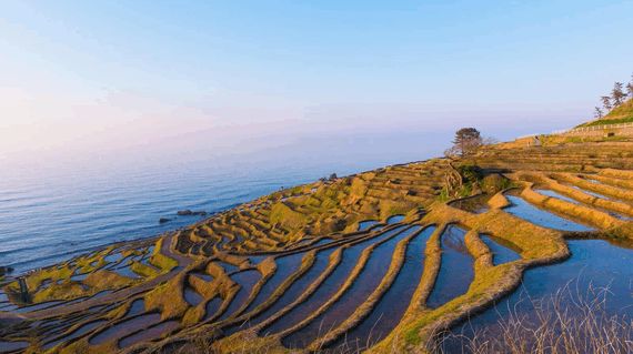 Cycle along the glorious coastline and see the artistic rice paddies of the area