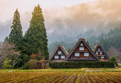 Traditional gassho-zukuri farmhouses