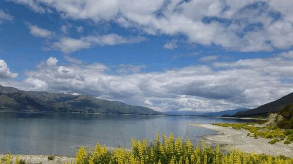 Visit the tranquil and vast Lake Hawea on day 8