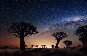 Starry night in the desert