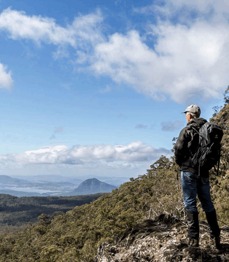 Spend the second part of the tour hiking the stunning Scenic Rim