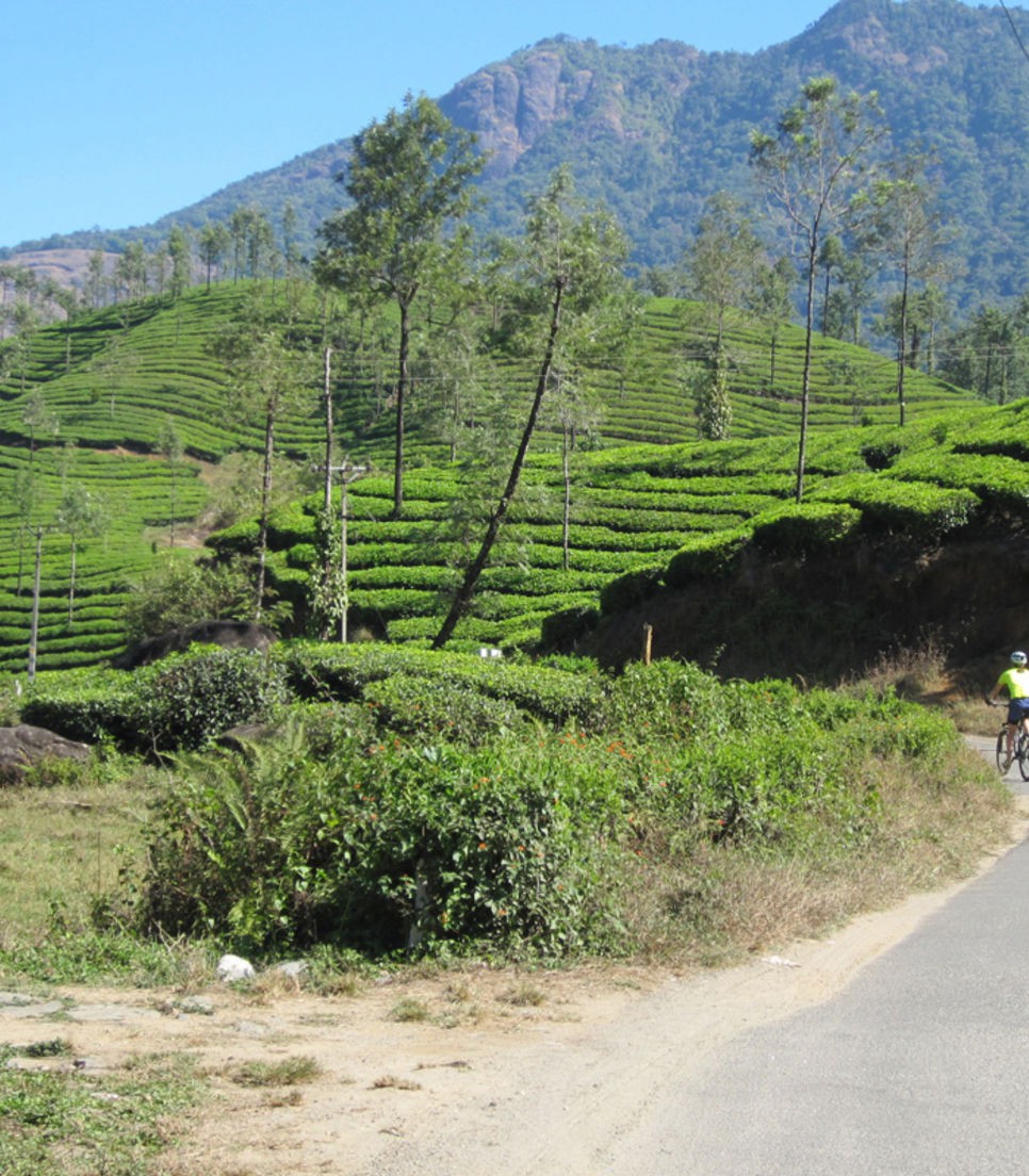 Enjoy the views of lakes, reservoirs, forest and tea plantations