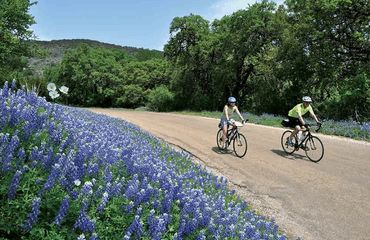 Cyclists riding past wildflowers