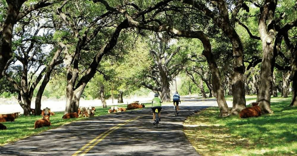 Texas Bicycle Tour: Explore the Hill Country Roar Adventures