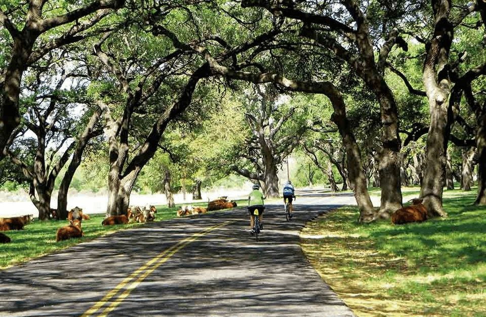 Texas Bicycle Tour: Explore the Hill Country