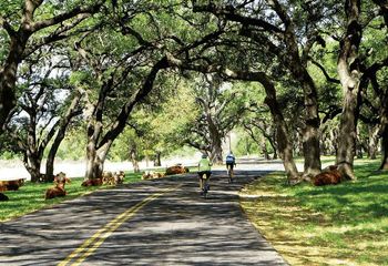 Texas Bicycle Tour: Explore the Hill Country