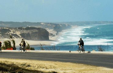 Cyclists riding along the coast
