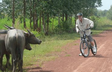 Cycling with water buffalo