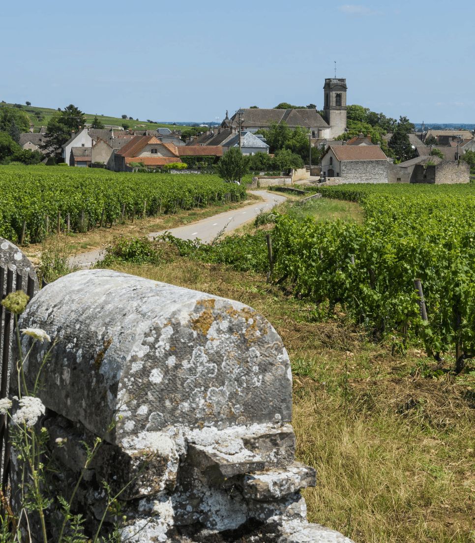 Explore this beautiful wine producing region of France