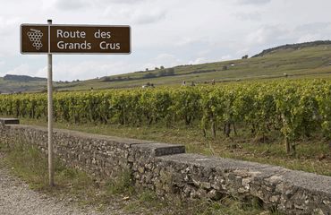 Routes des Grands Crus sign