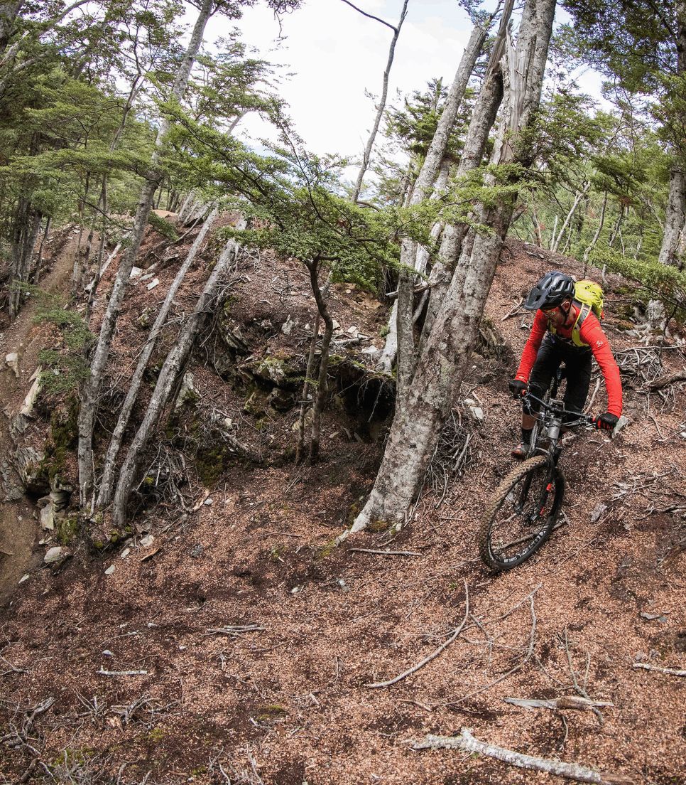 Bike a range of trails on the tour to test your skills