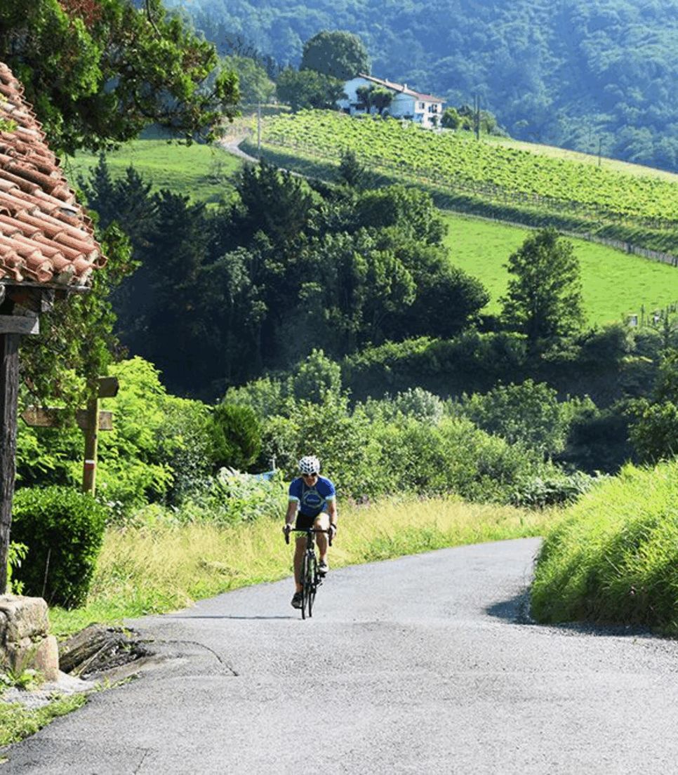 Pedal through rural and serene vistas on this 6 day tour