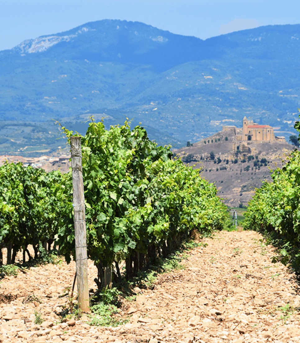 Explore this famed and beloved wine-producing area