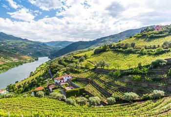 Portugal: Porto, Vinho Verde and Douro Valley