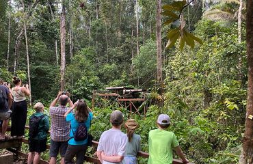 Cycling in the jungle