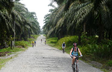 Cyclists on rough road