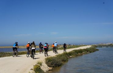 Cyclists riding along coastal path