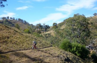Biking a single trail along a hill