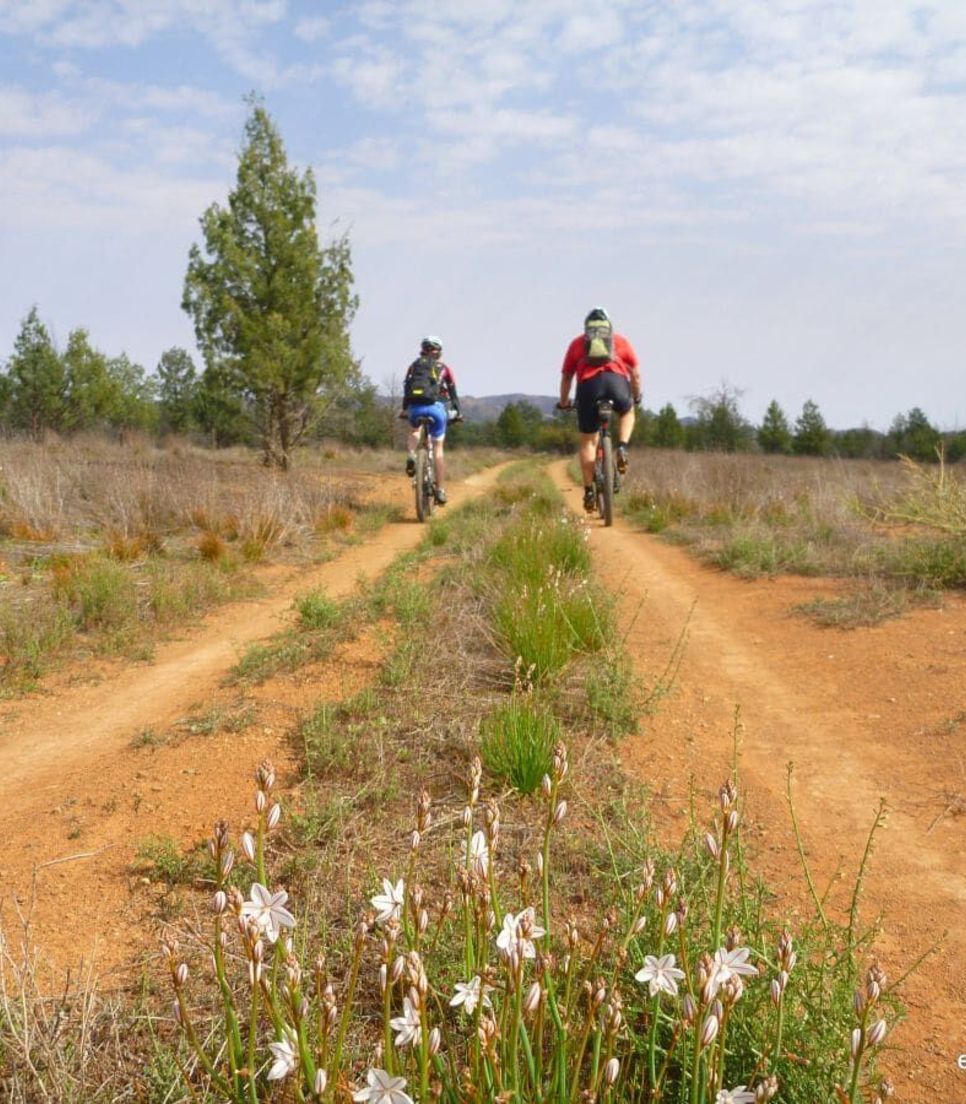 Bike through a variety of terrain on this great tour