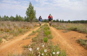 Biking on outback trails