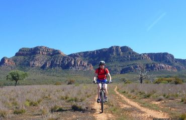 Ranges in background with cyclist riding 