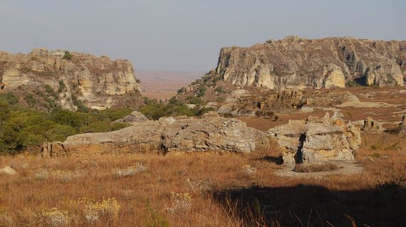 Explore the ruggedly beautiful Isalo National Park by foot