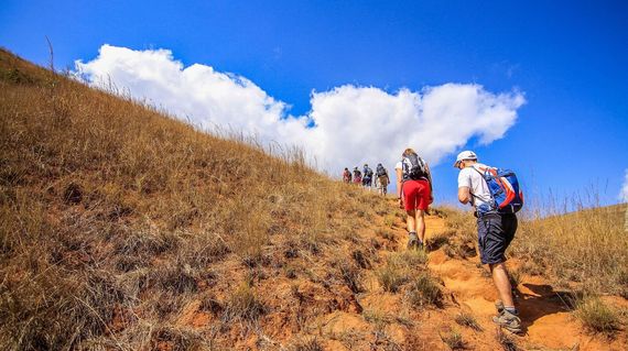 Enjoy some hiking to get up close and personal to the Madagascan flora and fauna
