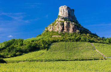 Rock in vineyards