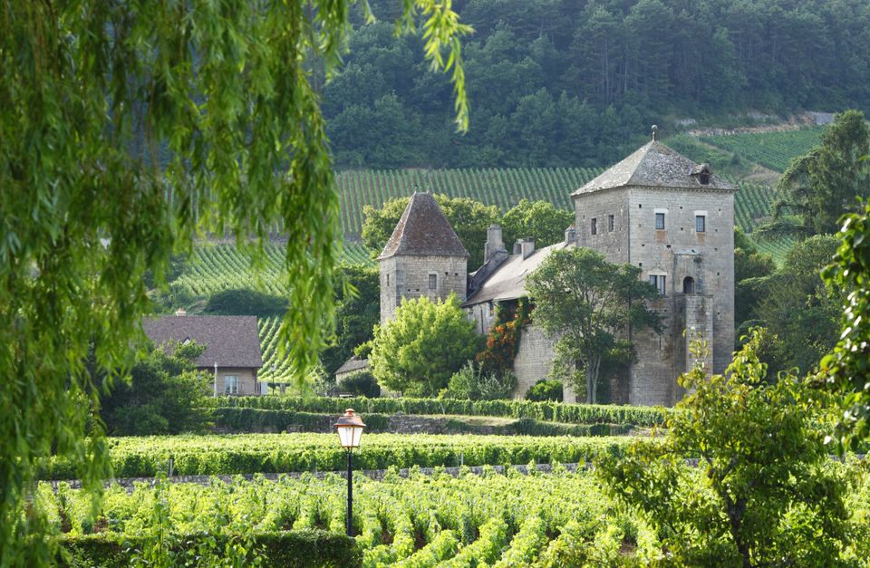 Quick Gourmet Biking Escape in Burgundy