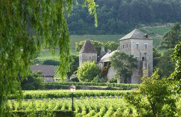 Vineyards and historic buildings