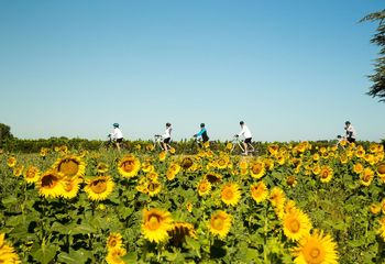Cycling France - Tour Upper Provence (Option A)