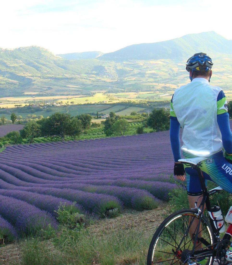 Enjoy the unique landscape of Provence