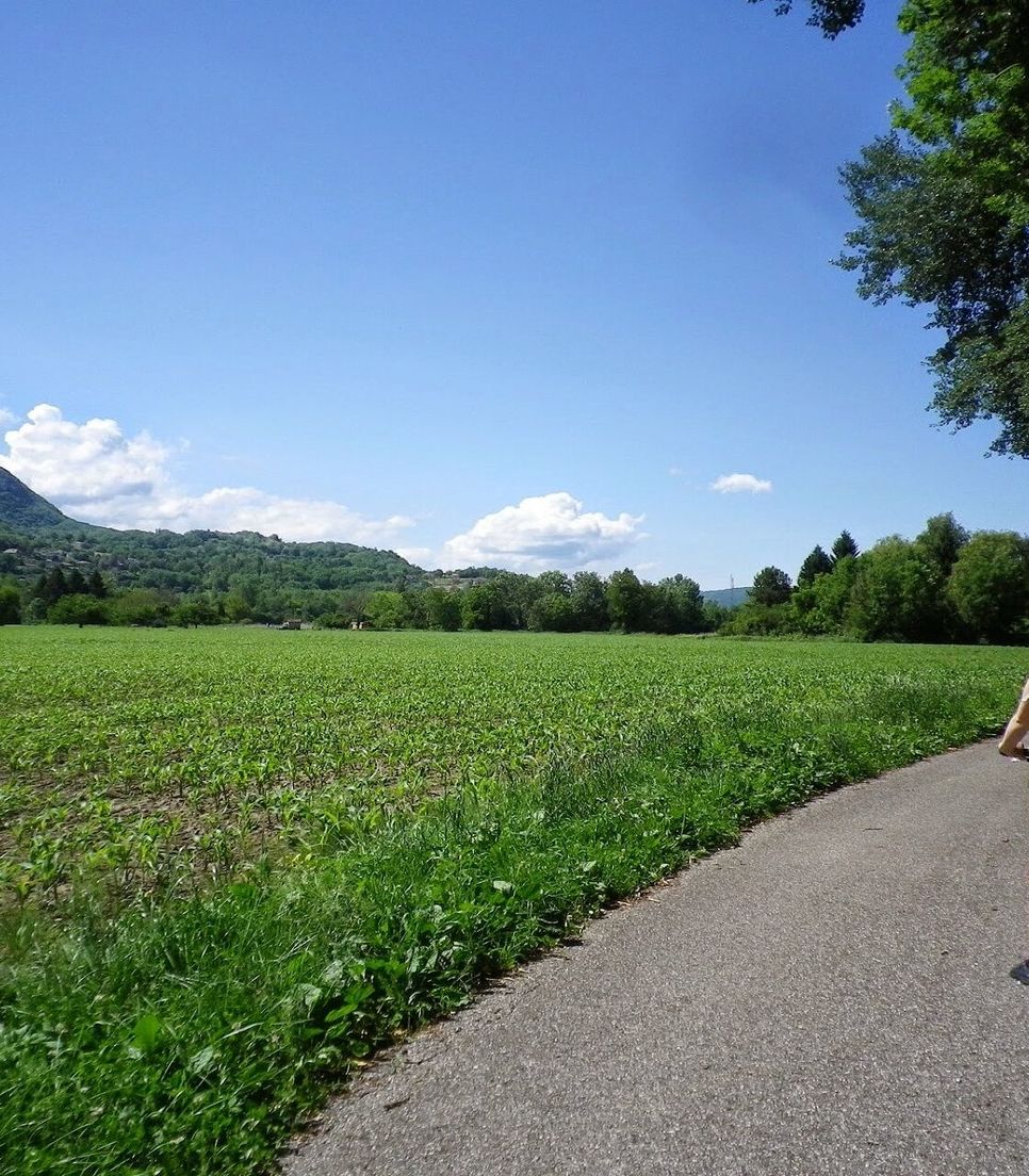 Pedal through the verdant scenery of the region