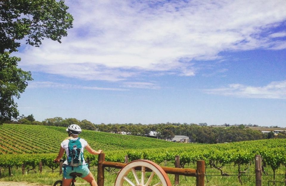 Cycling Tour Barossa & Clare Valley (Self Guided)