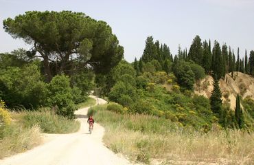 Biking a quiet rural lane