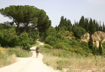 Bike Tours Tuscany: Self-guided ride through the Val D’orcia