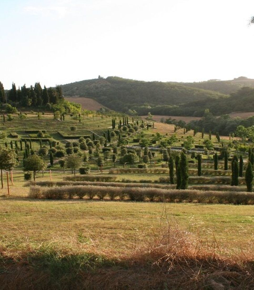 Experience the verdant delights of Tuscany