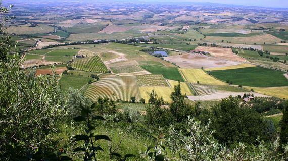 Bike up to Montalcino and be rewarded with fantastic views