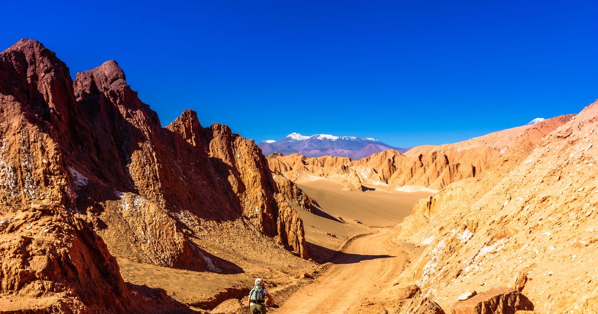 Cycle Chile & Argentina: Atacama to Salta | Roar Adventures