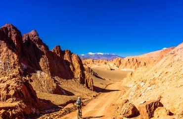 Cycling through desert landscape