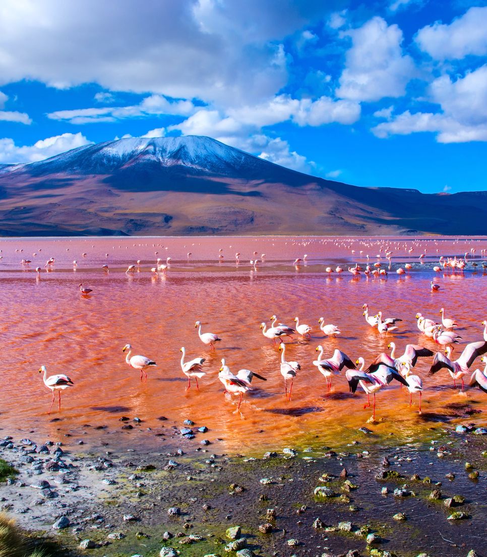 Ride the magical landscapes of Chile and Argentina