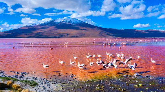 Ride the magical landscapes of Chile and Argentina