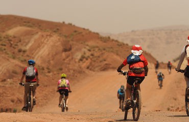 Cyclists in the desert