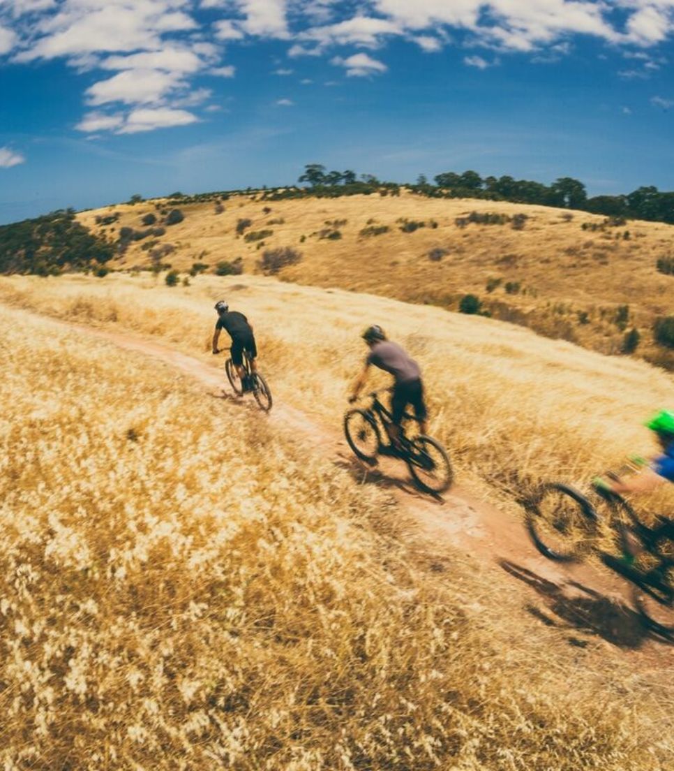 Enjoy yourself fully on a great MTB tour