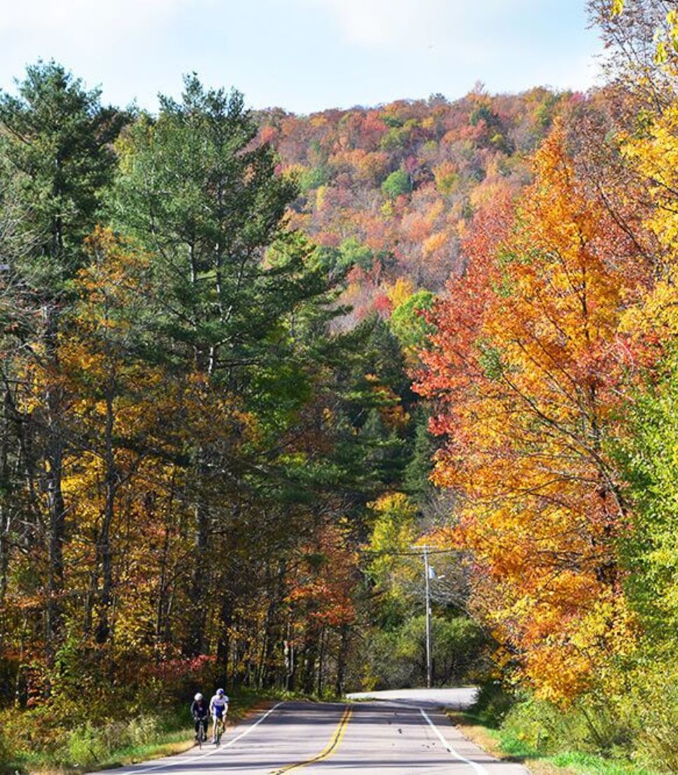 Immerse yourself in the spectacular display of color at this delightful time of year in Vermont