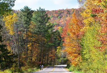 Vermont Fall Foliage: Lake Champlain Valley