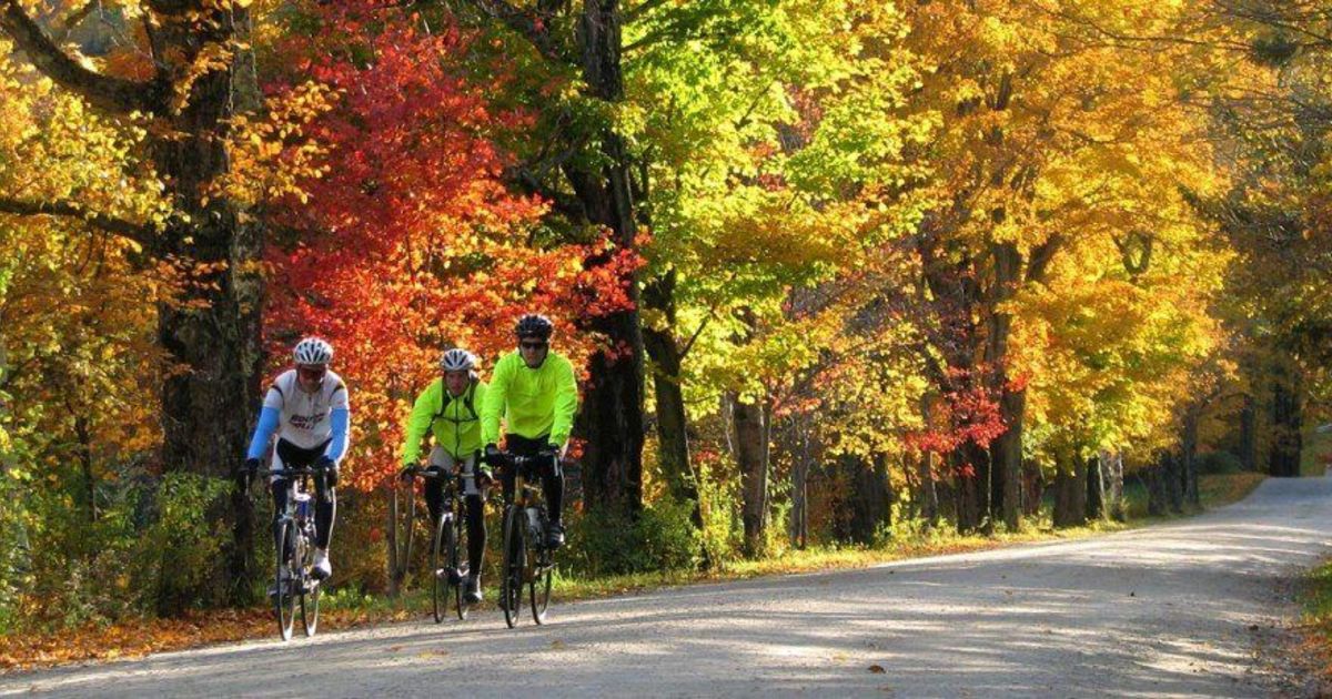 Vermont Bicycle Tour Stowe Fall Foliage Roar Adventures